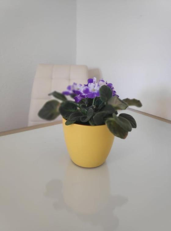 Apartmani Lucica Jezera Ngoại thất bức ảnh